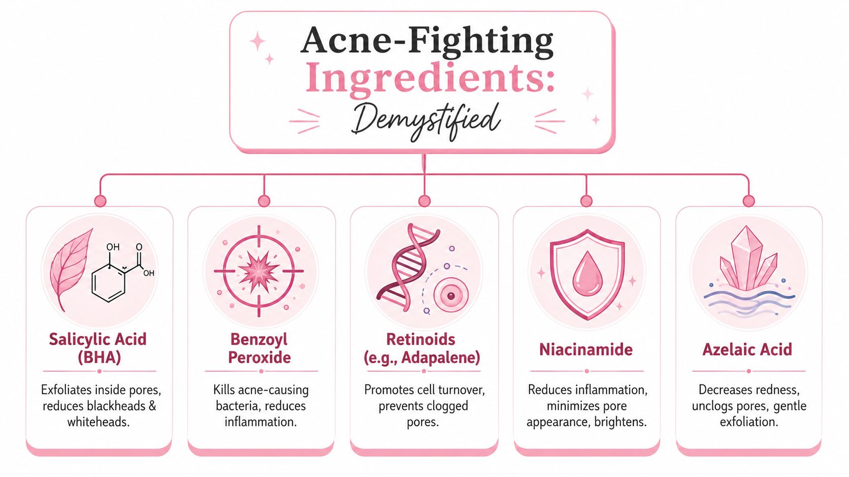 A visual guide explaining the functions of key acne-fighting skincare ingredients like salicylic acid and retinoids.