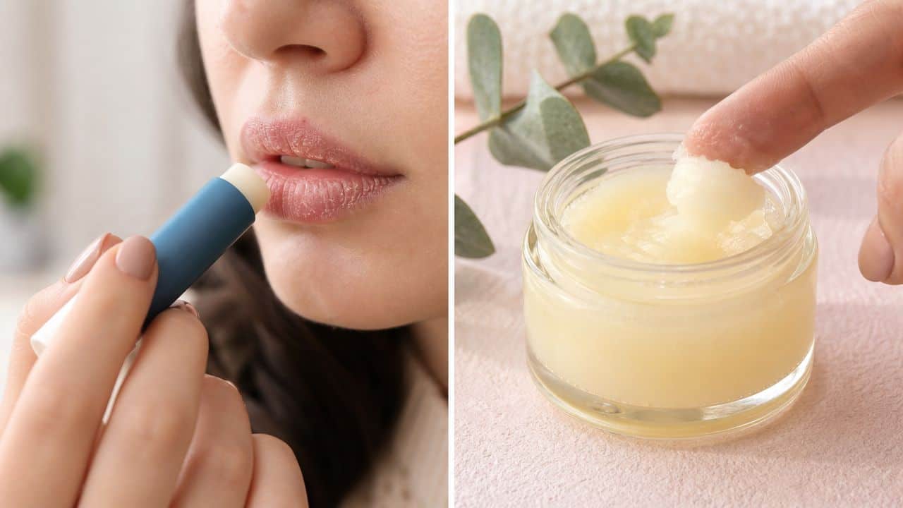 Aquaphor Lip Repair vs Healing Ointment: Find Your Perfect
