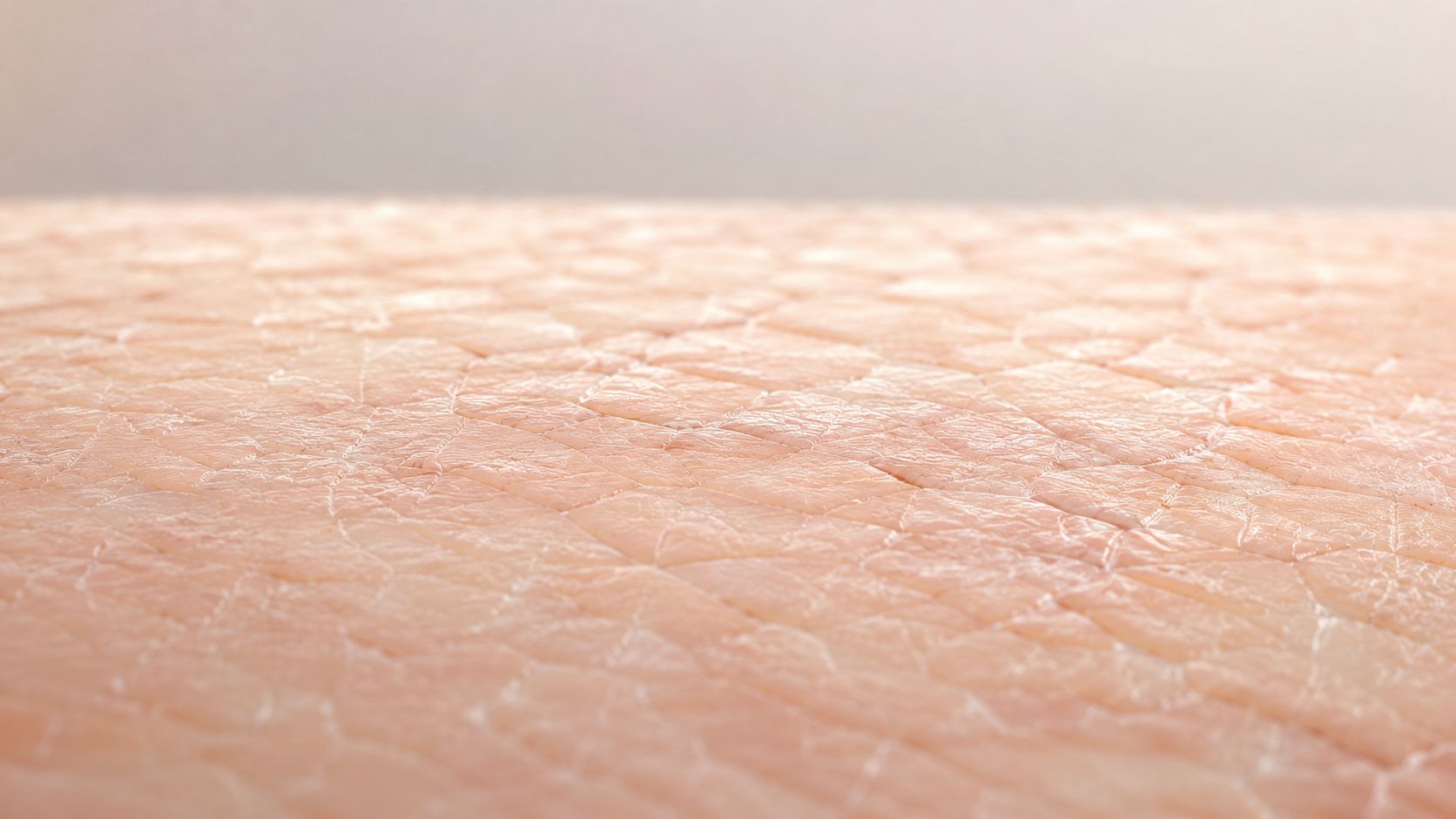 A close-up, high-resolution texture view of human skin showing fine lines, pores, and natural skin surface.
